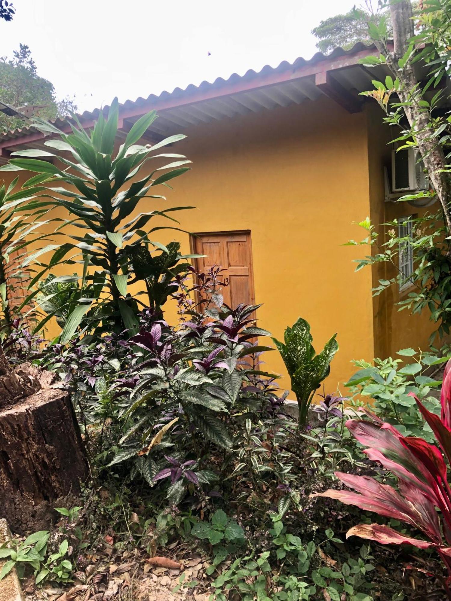 Refugio Cariguana *